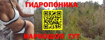 хмурый Рязань