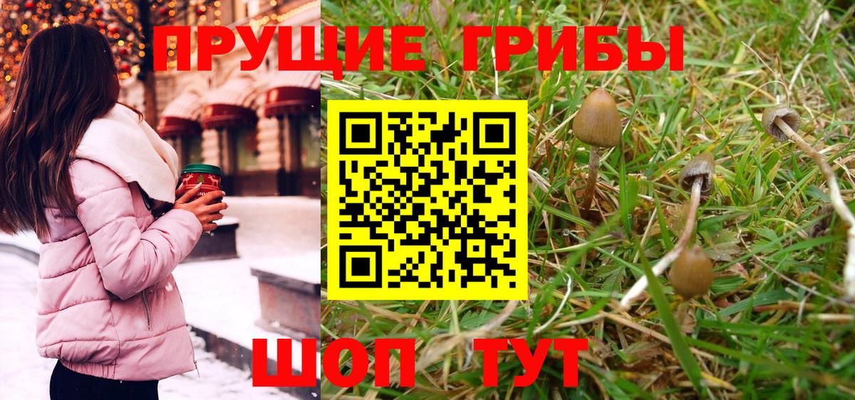 Псилоцибиновые грибы Magic Shrooms  Псилоцибиновые грибы MAGIC MUSHROOMS  закладки  Вход с VPN  Сорочинск 